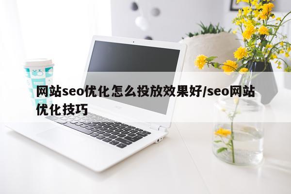 网站seo优化怎么投放效果好/seo网站优化技巧