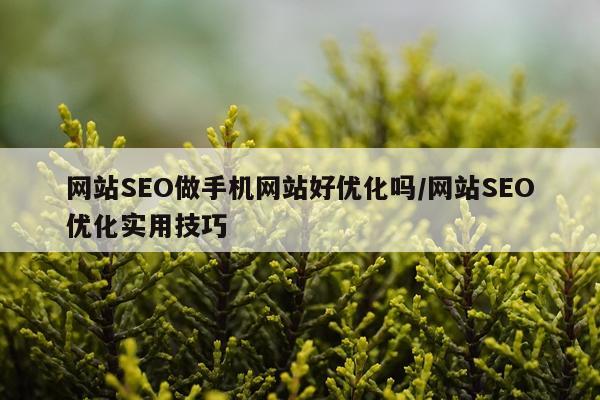 网站SEO做手机网站好优化吗/网站SEO优化实用技巧