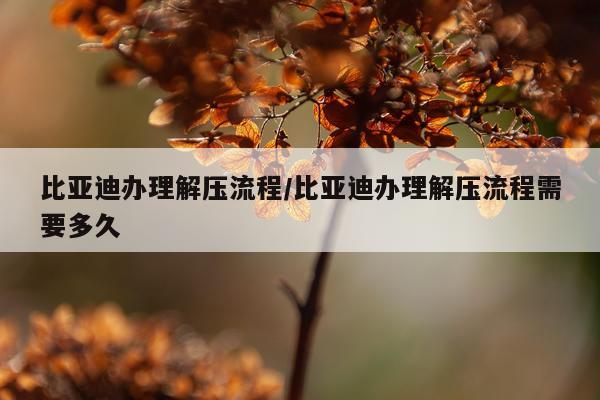 比亚迪办理解压流程/比亚迪办理解压流程需要多久
