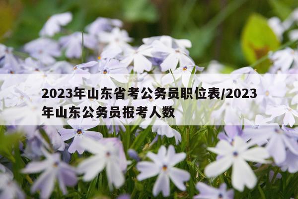 2023年山东省考公务员职位表/2023年山东公务员报考人数