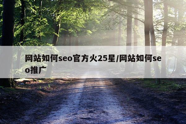 网站如何seo官方火25星/网站如何seo推广