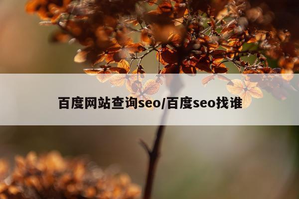 百度网站查询seo/百度seo找谁