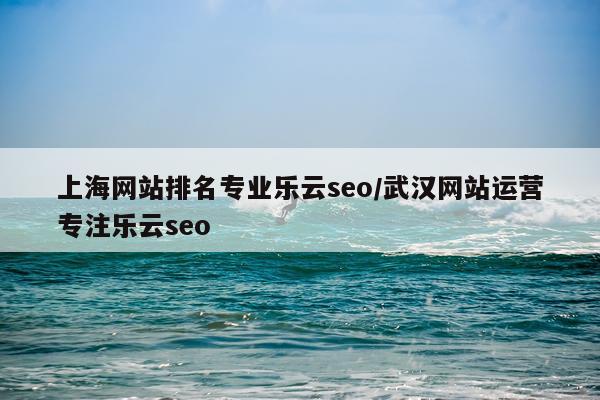 上海网站排名专业乐云seo/武汉网站运营专注乐云seo