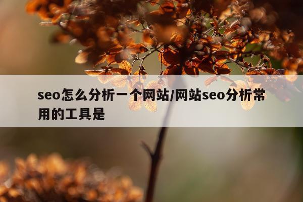 seo怎么分析一个网站/网站seo分析常用的工具是