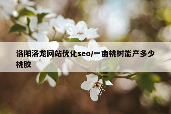 洛阳洛龙网站优化seo/一亩桃树能产多少桃胶