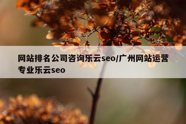 网站排名公司咨询乐云seo/广州网站运营专业乐云seo
