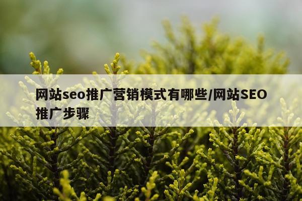 网站seo推广营销模式有哪些/网站SEO推广步骤