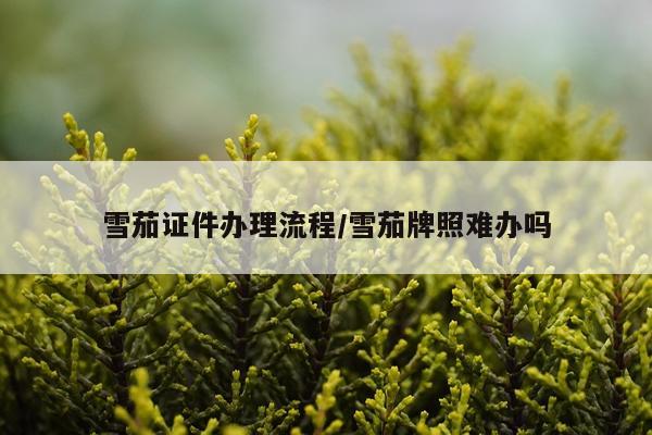 雪茄证件办理流程/雪茄牌照难办吗