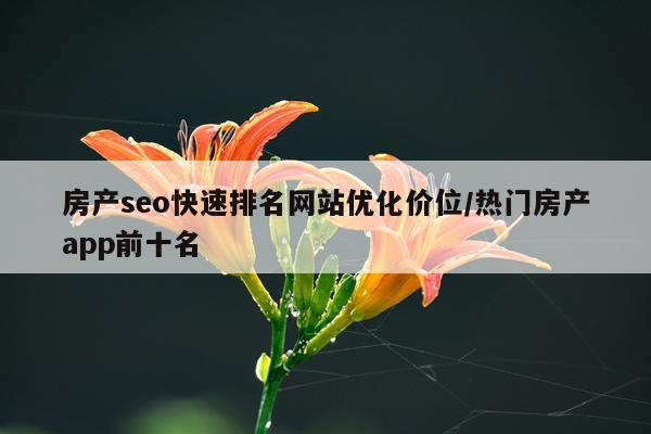 房产seo快速排名网站优化价位/热门房产app前十名
