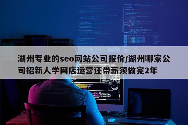 湖州专业的seo网站公司报价/湖州哪家公司招新人学网店运营还带薪须做完2年