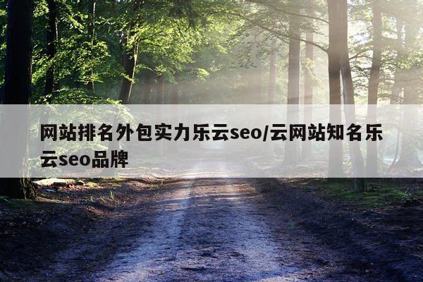网站排名外包实力乐云seo/云网站知名乐云seo品牌