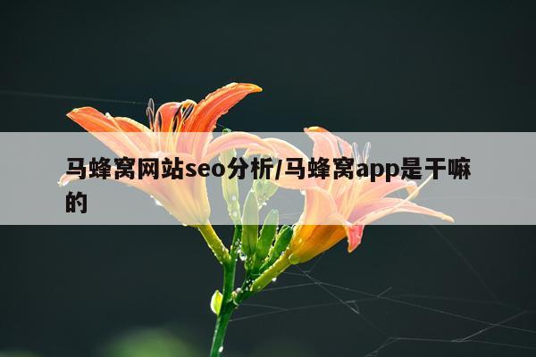 马蜂窝网站seo分析/马蜂窝app是干嘛的