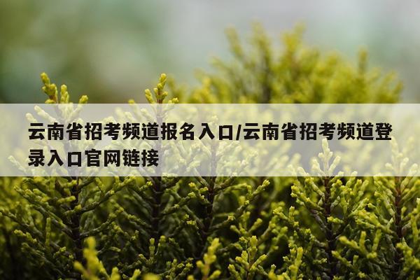 云南省招考频道报名入口/云南省招考频道登录入口官网链接