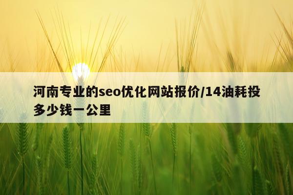 河南专业的seo优化网站报价/14油耗投多少钱一公里