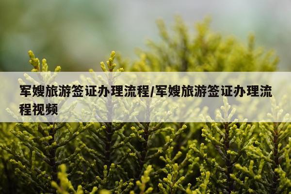 军嫂旅游签证办理流程/军嫂旅游签证办理流程视频