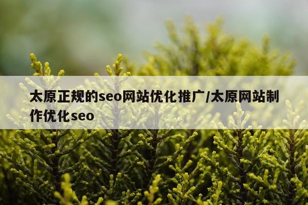 太原正规的seo网站优化推广/太原网站制作优化seo