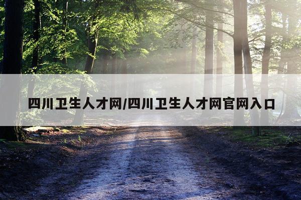 四川卫生人才网/四川卫生人才网官网入口