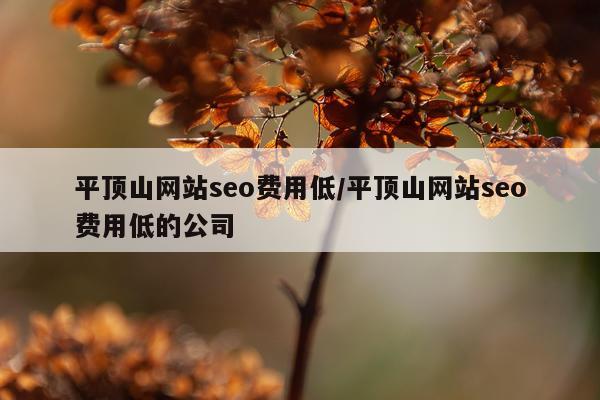 平顶山网站seo费用低/平顶山网站seo费用低的公司