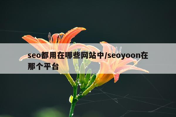 seo都用在哪些网站中/seoyoon在那个平台