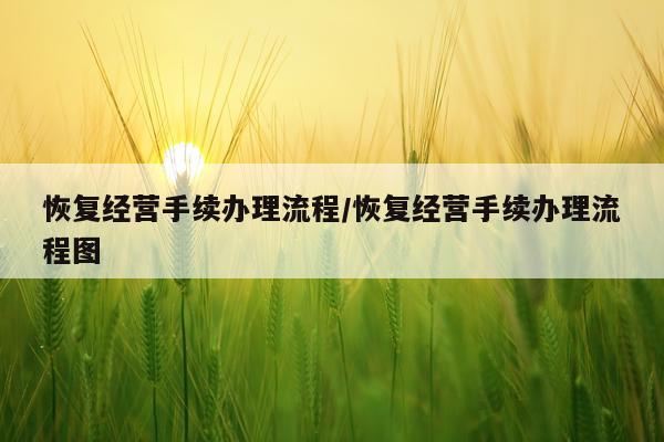 恢复经营手续办理流程/恢复经营手续办理流程图