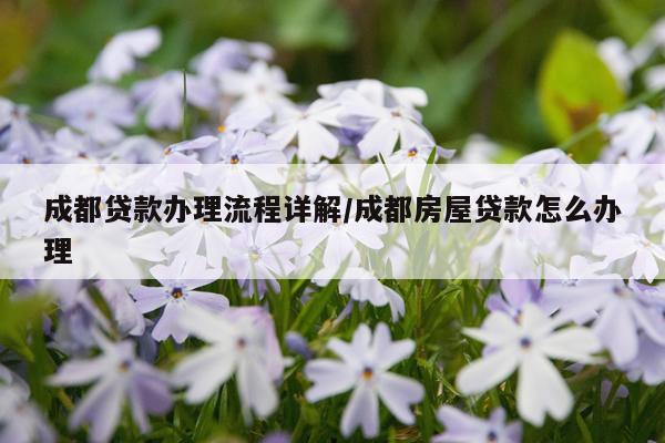 成都贷款办理流程详解/成都房屋贷款怎么办理