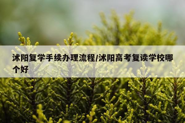 沭阳复学手续办理流程/沭阳高考复读学校哪个好