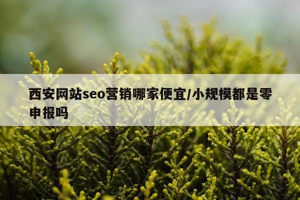 西安网站seo营销哪家便宜/小规模都是零申报吗