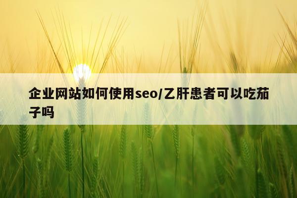 企业网站如何使用seo/乙肝患者可以吃茄子吗