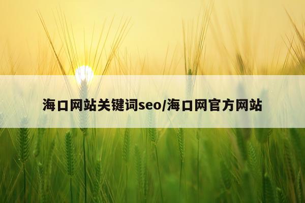 海口网站关键词seo/海口网官方网站