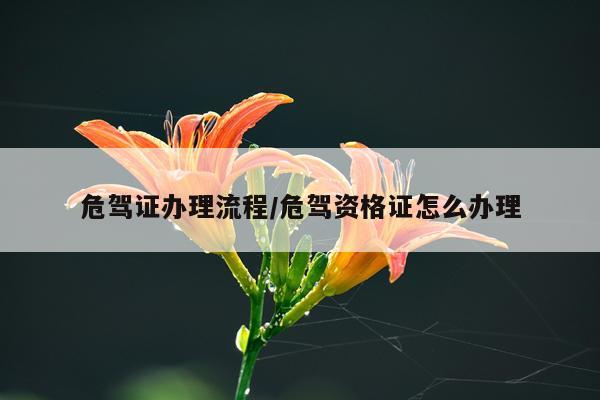 危驾证办理流程/危驾资格证怎么办理