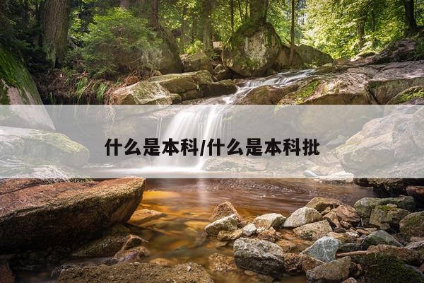 什么是本科/什么是本科批