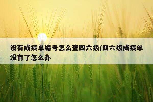 没有成绩单编号怎么查四六级/四六级成绩单没有了怎么办