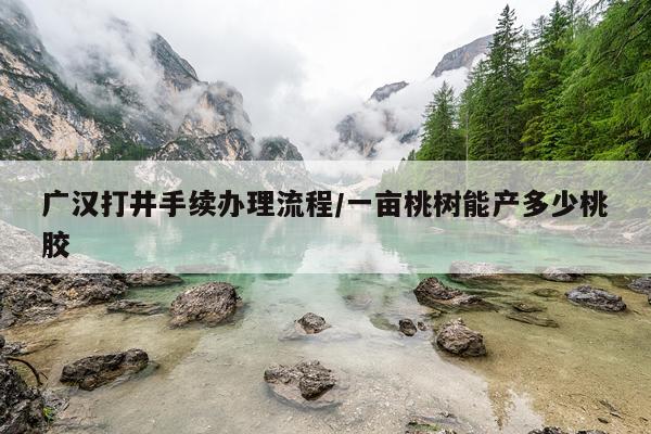 广汉打井手续办理流程/一亩桃树能产多少桃胶
