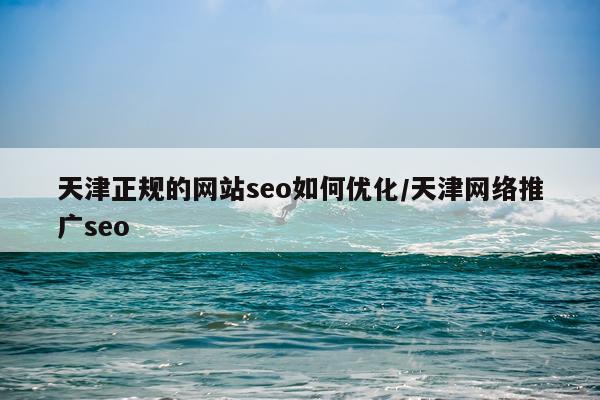 天津正规的网站seo如何优化/天津网络推广seo
