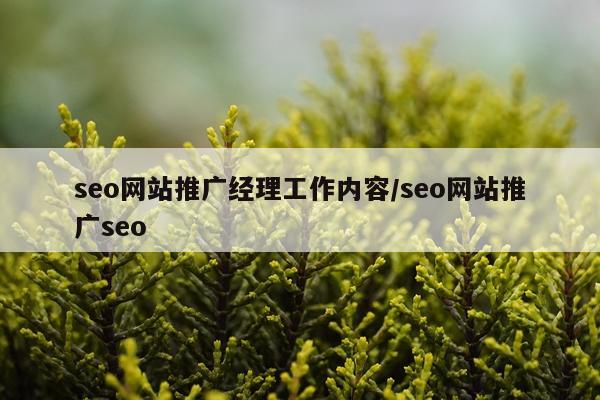seo网站推广经理工作内容/seo网站推广seo