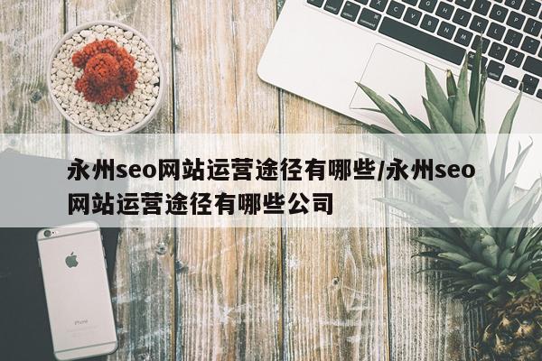 永州seo网站运营途径有哪些/永州seo网站运营途径有哪些公司