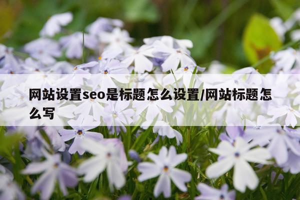 网站设置seo是标题怎么设置/网站标题怎么写
