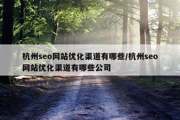 杭州seo网站优化渠道有哪些/杭州seo网站优化渠道有哪些公司