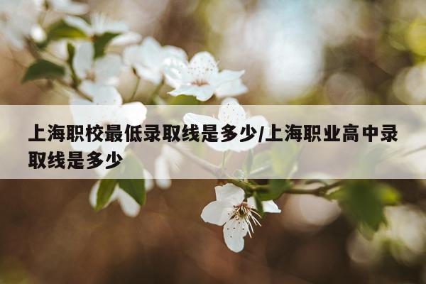 上海职校最低录取线是多少/上海职业高中录取线是多少