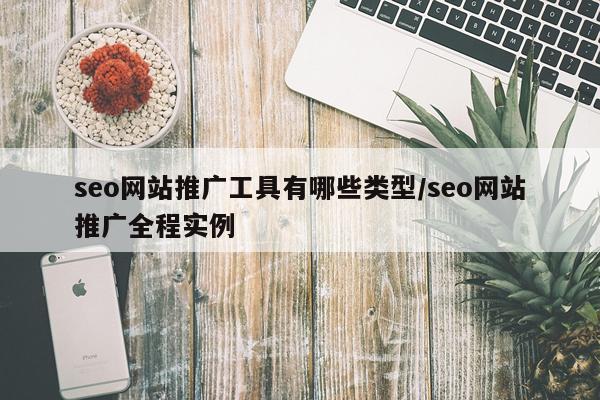 seo网站推广工具有哪些类型/seo网站推广全程实例