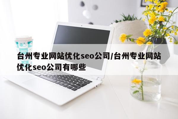 台州专业网站优化seo公司/台州专业网站优化seo公司有哪些