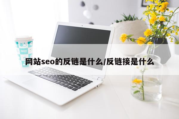 网站seo的反链是什么/反链接是什么
