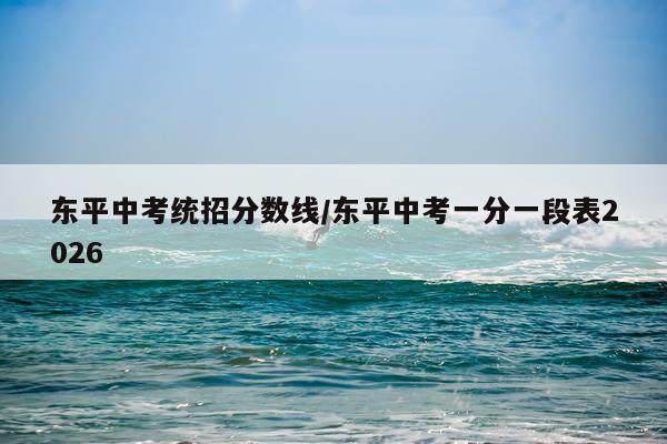东平中考统招分数线/东平中考一分一段表2026