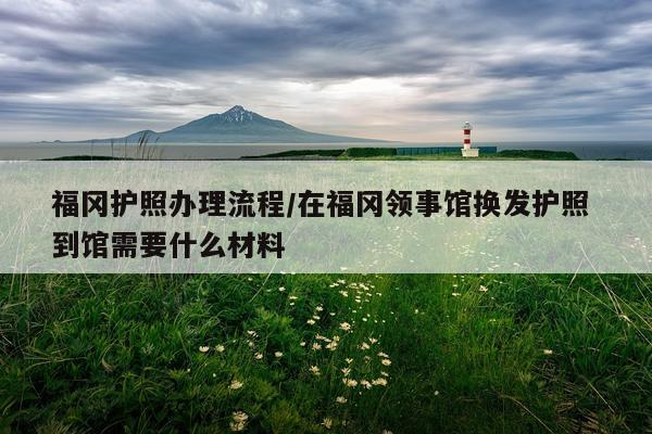 福冈护照办理流程/在福冈领事馆换发护照 到馆需要什么材料