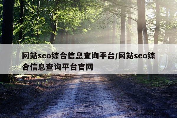 网站seo综合信息查询平台/网站seo综合信息查询平台官网