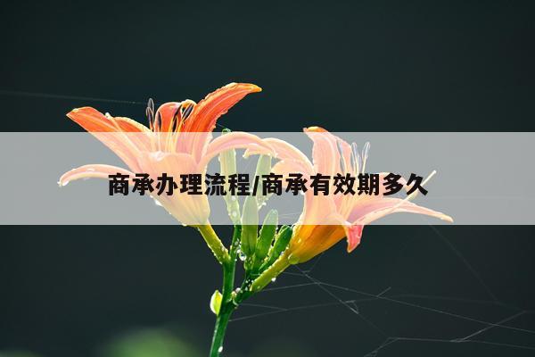 商承办理流程/商承有效期多久