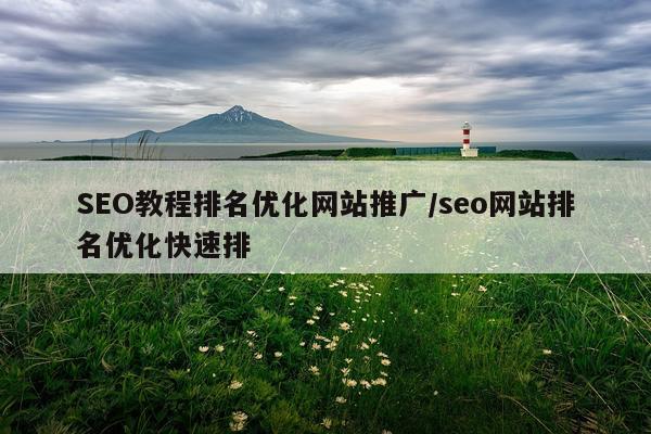SEO教程排名优化网站推广/seo网站排名优化快速排