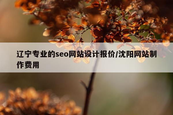 辽宁专业的seo网站设计报价/沈阳网站制作费用