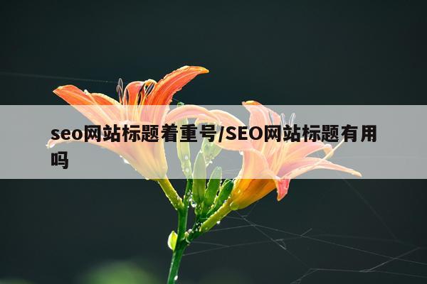 seo网站标题着重号/SEO网站标题有用吗