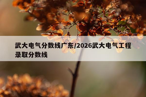武大电气分数线广东/2026武大电气工程录取分数线